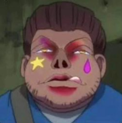 Anidiss